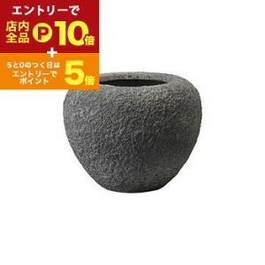 y}\IGg[P10{IN[|LIXSiP2{Izv^[ ^  傫 O ^v^[  厩R̉c AXeB{E a31cm v^[|b