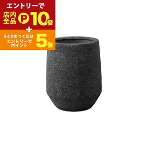 yGg[P10{IN[|LI}\zv^[ ^  傫 O ^v^[  厩R̉c AXeBAtL a53cm yptupGz v^[|bg 唫 