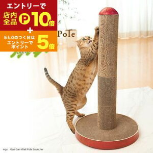 yő3,000~OFFN[|LI1 PT2{IzKK|[ XNb`[ |[^X^fBO^Cv | ܂Ƃ L ܂Ƃ |[ ܂Ƃ 킢 _{[ L ܂Ƃ ܌ i{[