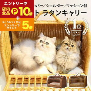 yő3,000~OFFN[|LI1 PT2{IzybgL[ ^ MTCY | ybg L   M L[obN L[ obO 2C[ L[P[X  y VRf  y