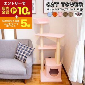 yGg[P10{IN[|LIX[p[SALEzy{󒍐YiF[1JzLbg^[LpߋLybgpߋybg Lbg^[ Y yCollinezR[k TbNX I