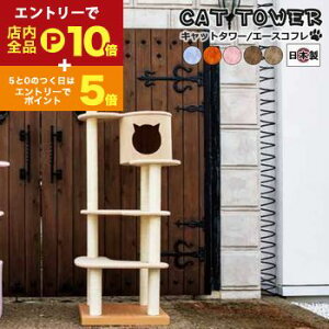 yGg[P10{IN[|LIX[p[SALEzy{󒍐YiF[1JzLbg^[LpߋLybgpߋybg Lbg^[ Y TbNX IW sN uE