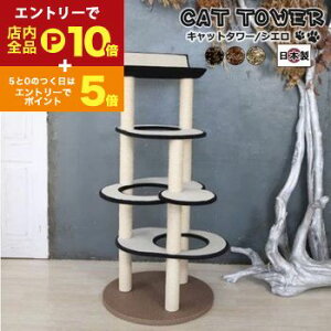 yGg[P10{IN[|LIX[p[SALEzy{󒍐YiF[1JzLbg^[LpߋLybgpߋybg Lbg^[ Y yCielozVGJ AC{[ O