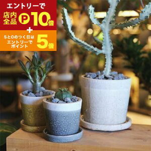 yGg[P10{IN[|LI}\zK[f|bg TCY2Zbg | v^[ Zbg 󂯎Mt A  A O  K[f Aؔ K[fjO |b