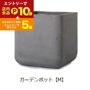 yGg[P10{IN[|LIX[p[SALEzK[f|bg M | K[f|bg |bg  Aؔ v^[Jo[ A  JtF K[fjO 킢tH O[ V