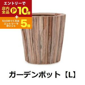 yGg[P10{IN[|LIX[p[SALEzK[f|bg L | K[f|bg |bg  Aؔ v^[Jo[ A  JtF K[fjO i` `[NEbh