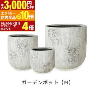 yGg[P10{IN[|LIX[p[SALEzK[f|bg M | v^[ TCY K[f|bg |bg  Aؔ v^[ A K[fpi |pi  K[fjO