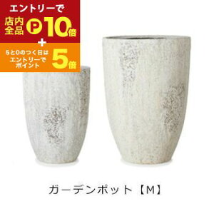 yGg[P10{IN[|LIX[p[SALEzK[f|bg M | v^[ TCY K[f|bg |bg  Aؔ v^[ A K[fpi |pi  K[fjO