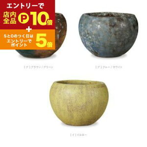 yGg[P10{IN[|LIX[p[SALEz^v^[ ^ ^|bg v^[ 傫 CeA Aؔ ze rO | ϗtA 뉀 |bg Vv 킢 ϋv