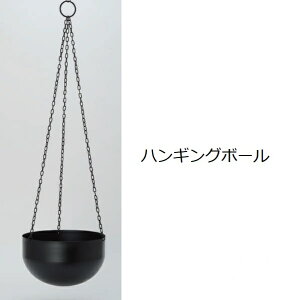 nMO{[ | K[f|bg |bg  Aؔ v^[Jo[  JtF _ A K[fpi |pi  K[fjO