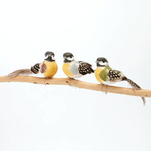 | K[f ANZT go[h A\[g accessory K[fG K[f K[fANZT[ u K[fjO CeA   G Ԓd K[fjOG Garden K