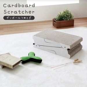 y11/24܂Ń|Cg3{zLp i{[܂Ƃ |bv AȒf na95111mx X^UCeA Lp ܂Ƃ _{[ Lbgpi ybgObY CeA Ƌ  Vv i