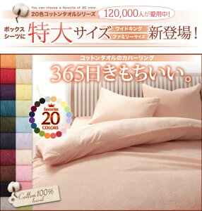 {bNXV[c Pi VO | V[c xbhJo[ xbgJo[ ^I Rbg 100 t  H ~ 􂦂 z   Vv 炳 Rbg^I xbhp{bNXV[c