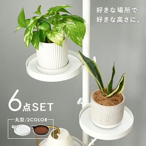 ˂_ p[c 6_Zbg ی^^Cv Lk_ _Zbg [pi ǖʎ[ Ǌ| ȒPݒu  ֗ ACfA[ ͐Lk 芴 ȃXy[X gݍ킹R I󂯃tbN Lb`