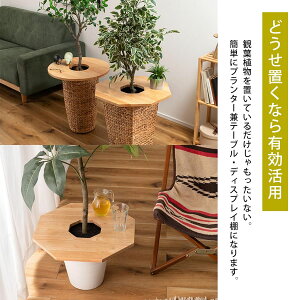 v^[e[u | TChe[u e[u ؐ VR k   ~ Eh i` Aؔ v^[ ϗtA V k _CjO  JtF o[Ebh r