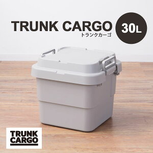 [{bNX | [P[X e30bg  AEghA ߗގ[ ᔠ t^t  Xc[ vX`bN Vv ~^[ ω׏d100kg gNJ[S 30L 30l  Lv C