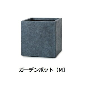 K[f|bg M | K[f|bg |bg  Aؔ v^[Jo[ A  JtF K[fjO L[uv^[ AXTCg