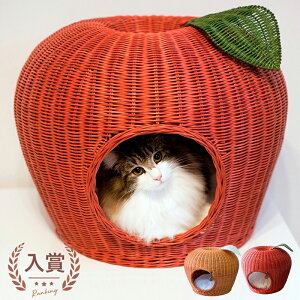  ^|nEX | I[nhCh VRfރxbh Lbgxbh Lbg LbgnEX  gE ^ xbh lR ^NbV  킢 L[