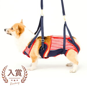  s⏕ n[lX R[M[p Z[[} |  n[lX  ybg R[M[ U ł sT|[g   R[M[ ^ TCY  _[t[