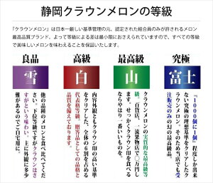 【一般商品】クラウンメロン富士桐箱1玉入