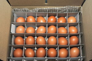 yYizxmR̘[̔_ňĂua܂v48