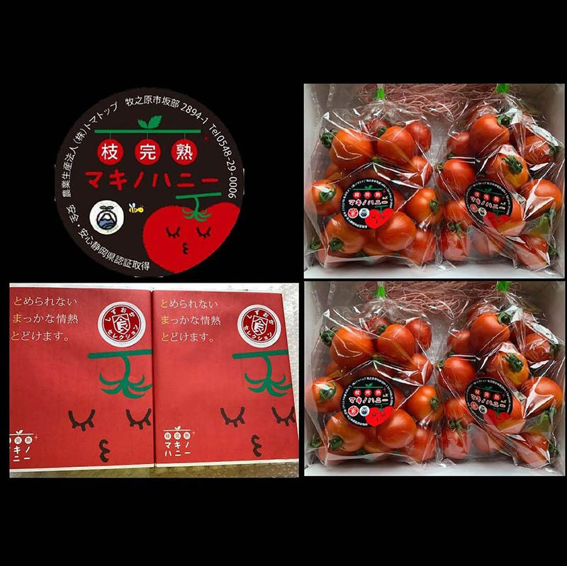 枝で完熟させて収穫したトマトです 産直商品 牧之原市産 枝完熟トマト マキノハニー トマトップ 12月初旬から順次発送 公式ショップ 記念日 1.1kg×2箱 ※ 計2.2kg