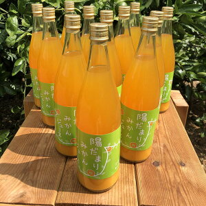 【産直商品】三ヶ日「青島みかん」ジュース 720ml ×12本セット