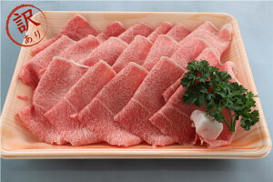 yYizu󂠂vōO[hYјau[X؂藎v450g