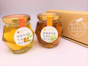 yYizu݂vuĕSԁv2퐶l߁E݂͂