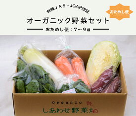 【産直商品】免疫力アップ！オーガニック・しあわせ野菜楽天セット