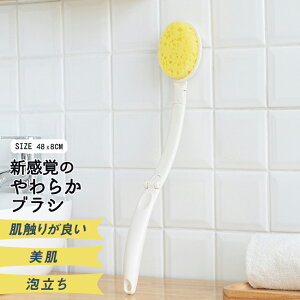 [  ӂ {fBX|W C oXX|W  킢 V[uV Aălbg w {fB^I {fBEHbV CC oXuV A RR 