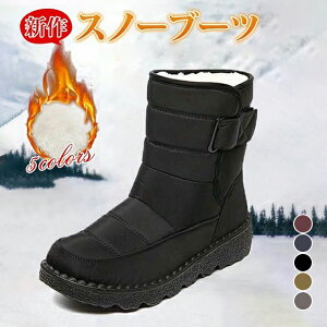 ꕔ[  [gu[c Xm[u[c fB[X h  傫TCY N n C V[gu[c ʋ ʊw