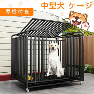 uX[p[sale12%OFFv P[W t  ybgT[N  P[W Q[W ybgP[W ybg  ^ ^ ^