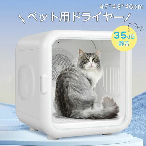 ybghC[ ybg@ ybgphC[  EL@ ybg   L }P[X É ybgphC[ hC[{bNX x hC[[  