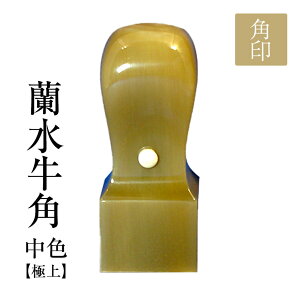 fUCmF dq tp Fi ɏ j @l p p i 24mm jdq t蒤dグE13̂ p