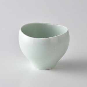  c{^ 10cm 菑 g ԗq ΐF [  