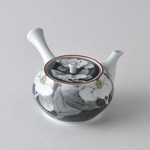 FRԁ@}{ XeXRVt菑 g ԗq |bg