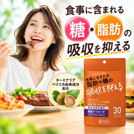 糖 脂肪 サプリ ターミナリアベリリカ 機能性表示食品 食後血糖値 食後中性脂肪 食事の糖や脂肪の吸収を抑える 30日分 糖脂アプローチ 国内製造