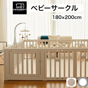 y20%OFFN[|zxr[T[N hAt nC^Cv 65cm ܂肽 vC}bg xr[Q[g t gȒP gȒP  oYj k zCg cocozari