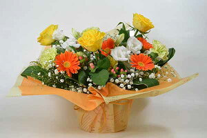 yr^~J[@AWgzyyzAWt[   蕨  킢 Mtg v`Mtg  w o^C a   G߂̉