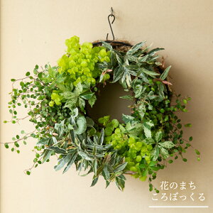 ハンギング リースの人気商品 通販 価格比較 価格 Com