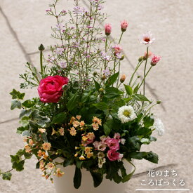 【ピンクの優しいお花の寄せ植え】季節の寄せ植え 寄せ植え おしゃれ ガーデン ※母の日、お正月などの繫忙期のラッピングはお受けしておりません。ギフト用の袋に無料でお入れさせていただいております。