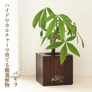 yԂ̂܂ڂz22IWiϗtAؐԊZbg yuEEc^CvzypLz