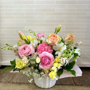 yyzG߂̗DAWg G߂̂܂ m   AW v[g Mtg a Ǝ w ʉ } LO j t t[