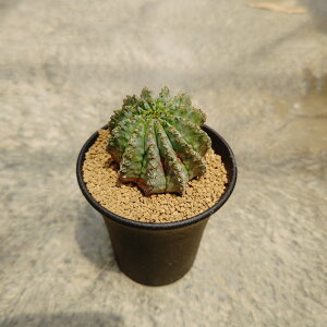 y[tHrA QzǗ@t3 T{e A  A A i  CeA ϗtA O[ lC  v[g Mtg  V z