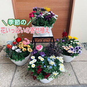母の日 花 寄せ植えの人気商品・通販・価格比較 - 価格.com