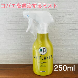 yMY PLANTS RoGގ~XgzZFw| }Cvc E Xv[ ~Xg RoG |p ϗtA A y aCm炸 IVȃpbP[W ގ 250ml