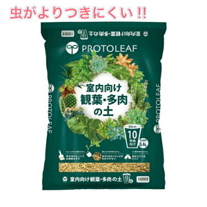  ϗtEA̓y 3.5L 7ppy vg[t ϗtA A  ͔| Aւ