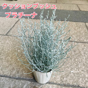 y1_璍\Izv`[i3|bgc c ԕc NbVubV Vo[ Vo[[t  I 񂹐A nLOoXPbg ϊ N NX}X