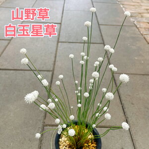 ʐi炽܂j4 R쑐 N ϊA  A A 񂹐A bNK[f A a 